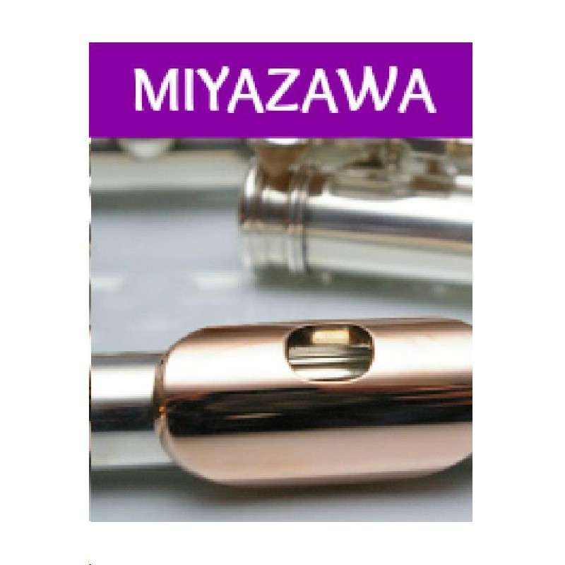 plaque-noyau-or-miyazawa-type-1