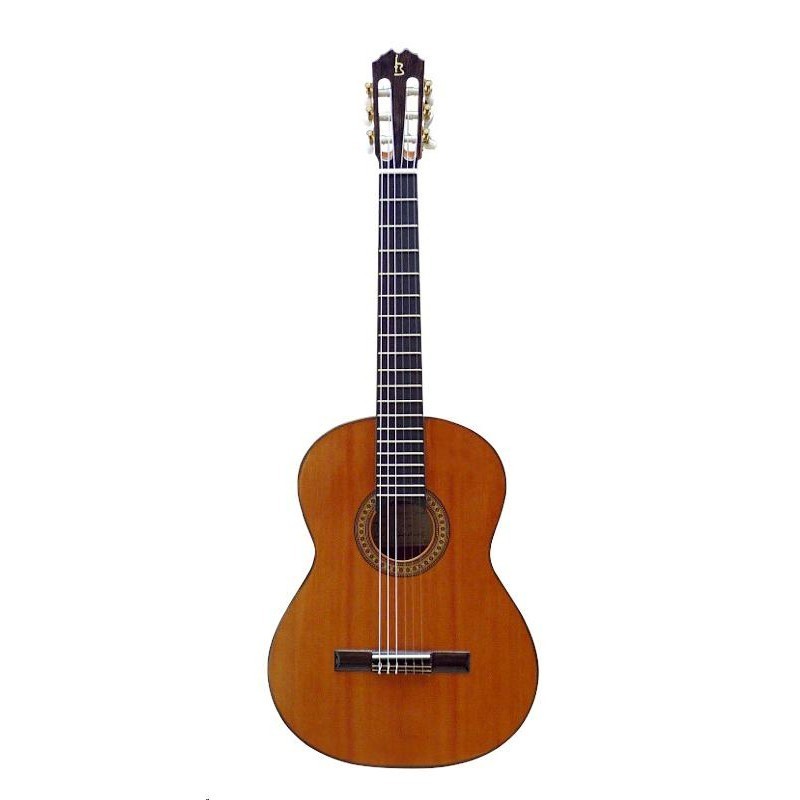 guitare-classique-carvalho-5c