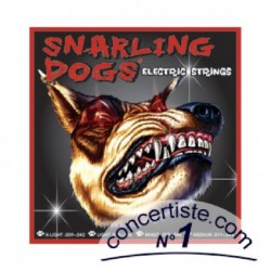 jeu-electrique-snarling-dogs-10-46