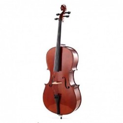 violoncelle-1-8-sebim-occasion-c1