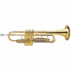 trompette-sib-amati-tr213-c1