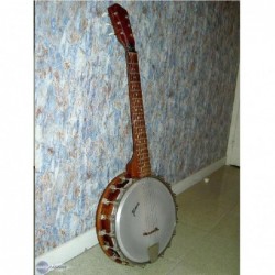 banjo-6-cordes-framus-occasion