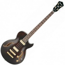guitare-basse-ibanez-agb200-tbr