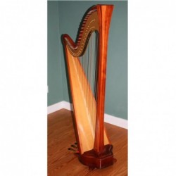harpe-salvi-daphne-40-occasion