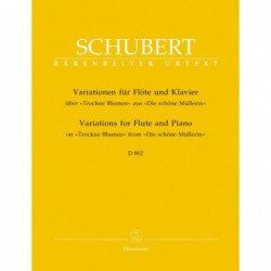 variationen-fur-flote-und-klavier-u