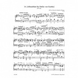 corde-violon-mi-dominant-3-4