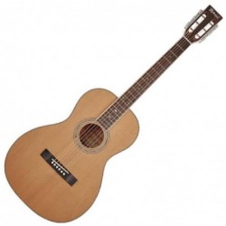 guitare-parlor-richwood-rv-70-nt