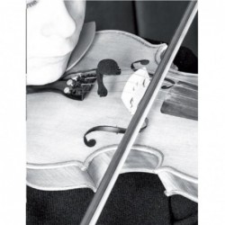 micro-violon-prodipe-vl21-lanen