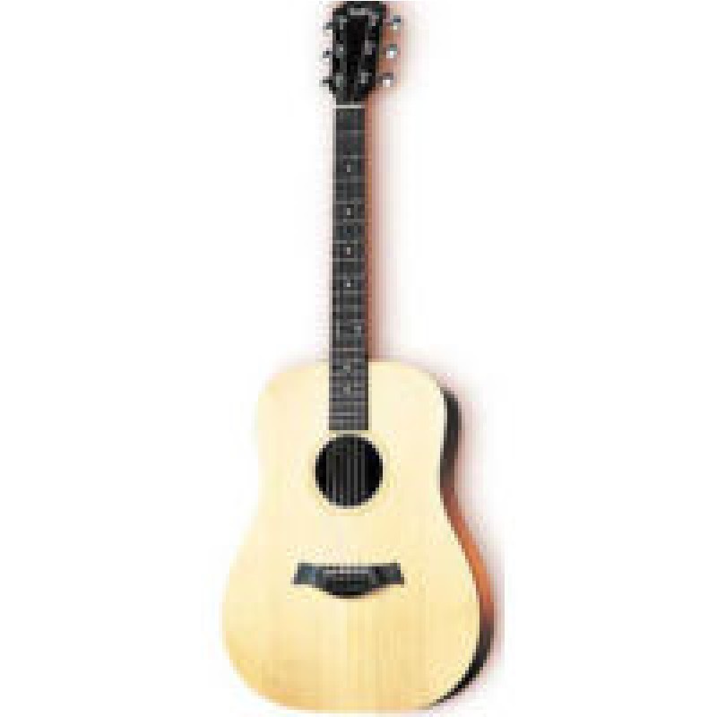 guitare-folk-taylor-big-baby-housse