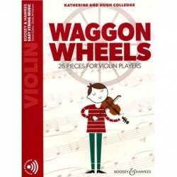 waggon-wheels-colledge-violon-seul