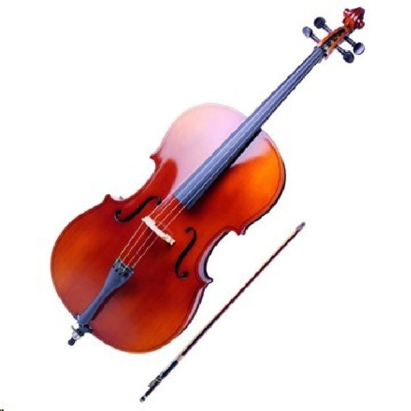 violoncelle-4-4-instruments-1443pl-