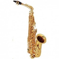 saxophone-alto-amati-occasion