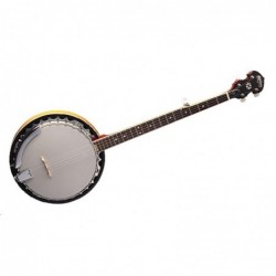 banjo-washburn-b9-occasion
