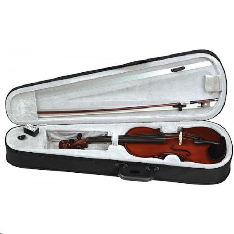 violon-alto-3-4-carmino-occasion-c1