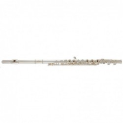 flute-tr-gemeinhardt-3es-argent-c1