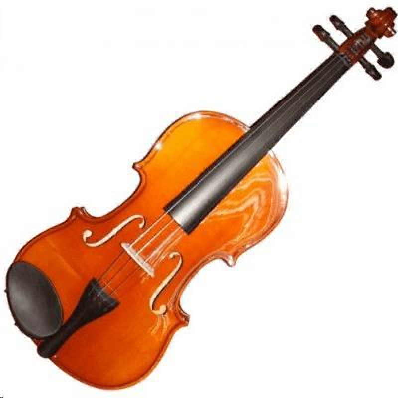 violon-4-4-occasion