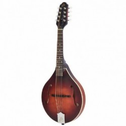 the-loar-lm-110-honey-creek-brb