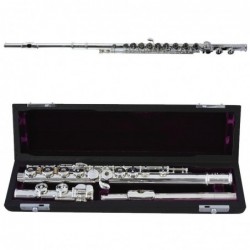 flute-tr-trevor-privilege-slr-c1