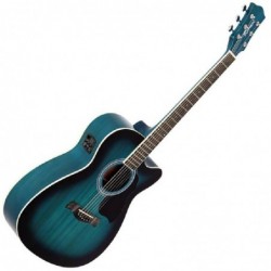 guitare-electro-richwood-ra-12cebs