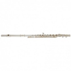 flute-traversiere-gemeinhardt-3e-c1