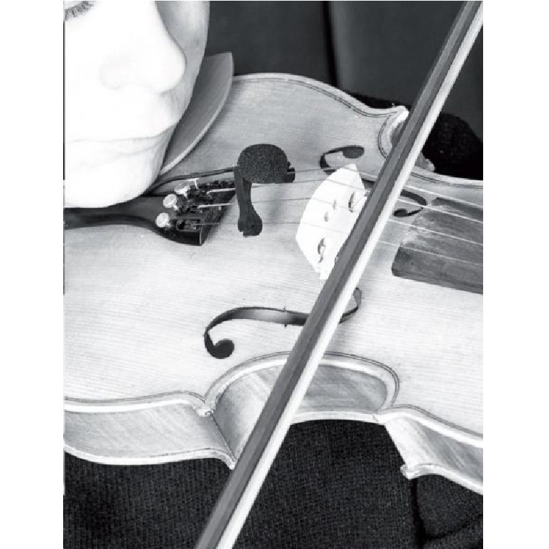 micro-violon-prodipe-vl21-c-lanen