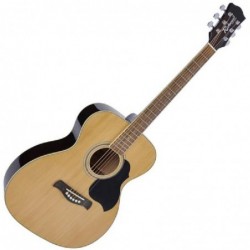 guitare-folk-richwood-ra-12