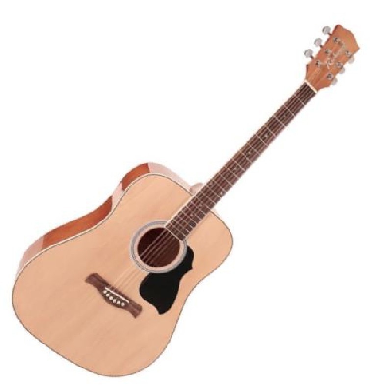 guitare-folk-richwood-rd-12