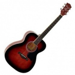 guitare-folk-richwood-ra-12-rs