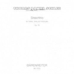 streichtrio-for-violin-viola-and-v
