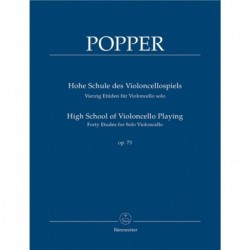 high-school-of-violoncello-playing-