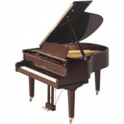 piano-1-4-queue-forster-170-noyer