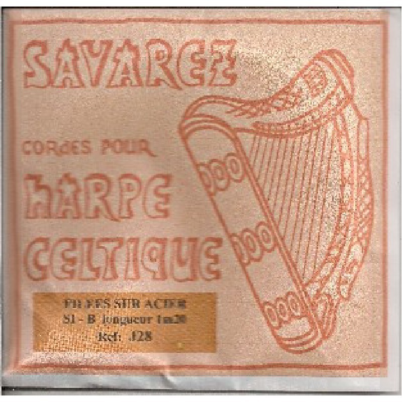 corde-harpe-celt-28°-filee-si4