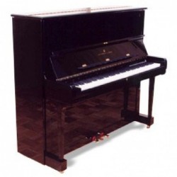 piano-droit-steinway-v125-ns