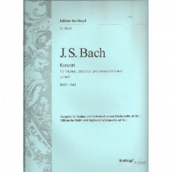 concerto-am-bwv1041-bach-violon-bc