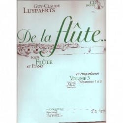 de-la-flute-v3-cd-luypaerts-flute