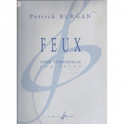 feux-burgan-patrick-violoncelle