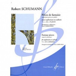 pieces-de-fantaisie-schumann-robe