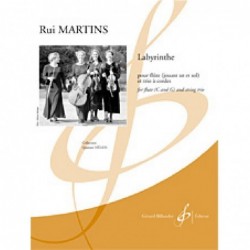 labyrinthe-martins-rui-quatuors
