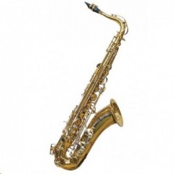 saxophone-tenor-j.michael-tn900