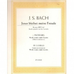 jesus-que-ma-joie-bwv147-bach-piano