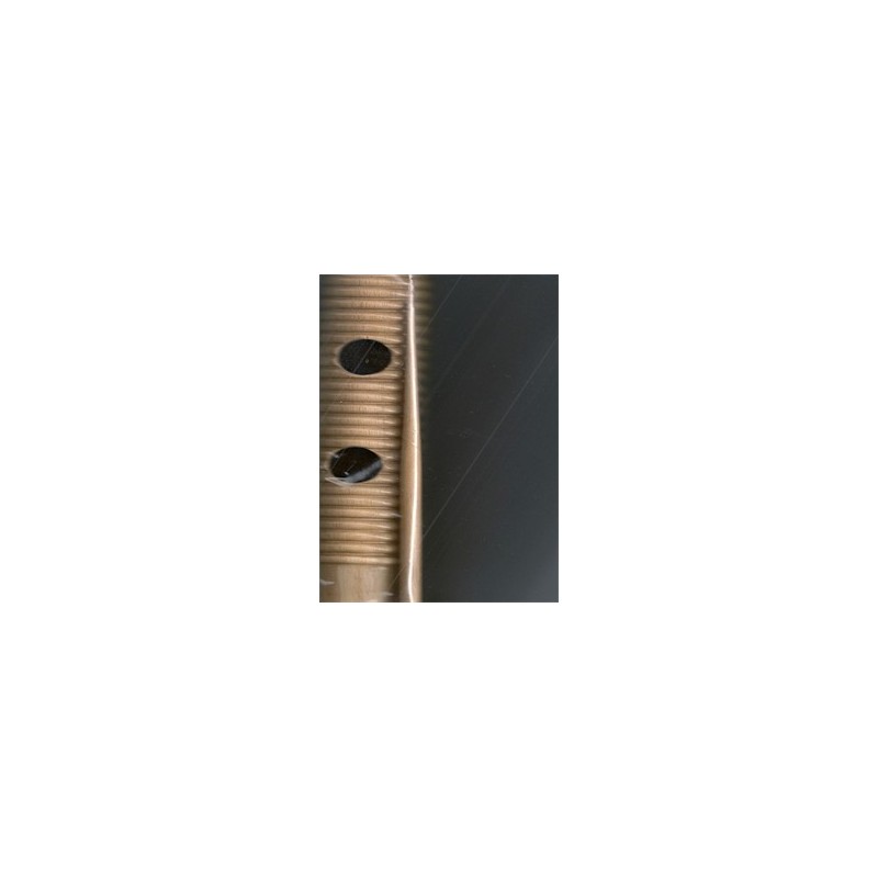 guiros-bois-cylindrique-g21-